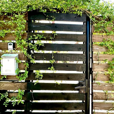 Casa Cu Smochin | House With The Fig Эфорие-Суд