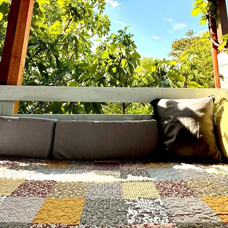 Casa Cu Smochin | House With The Fig 3* Эфорие-Суд