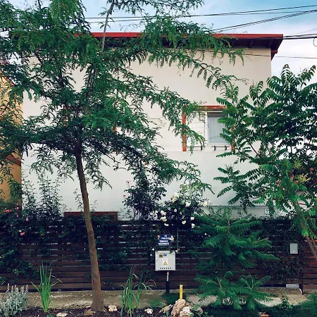 Casa Cu Smochin | House With The Fig 3*