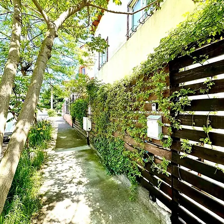 Casa Cu Smochin | House With The Fig * Eforie Sud (Constanta)