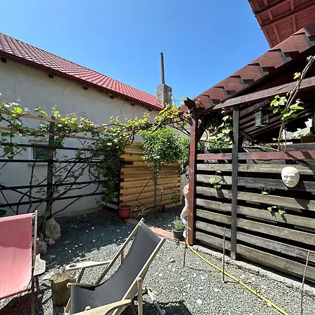 Casa Cu Smochin | House With The Fig