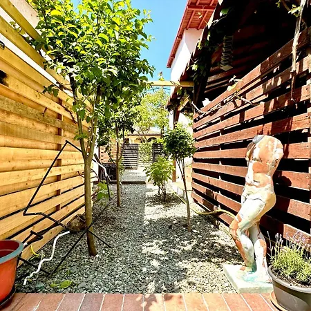 Casa Cu Smochin | House With The Fig Pensiune