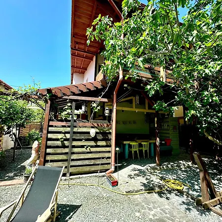 Pensiune Casa Cu Smochin | House With The Fig