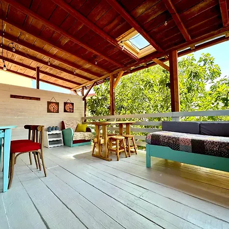 Casa Cu Smochin | House With The Fig Affittacamere Eforie Sud (Constanta)