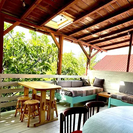 Casa Cu Smochin | House With The Fig Affittacamere