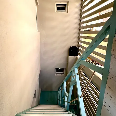 Casa Cu Smochin | House With The Fig Affittacamere Eforie Sud (Constanta)