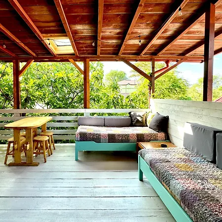 Casa Cu Smochin | House With The Fig *