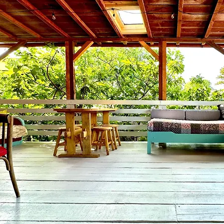 Casa Cu Smochin | House With The Fig