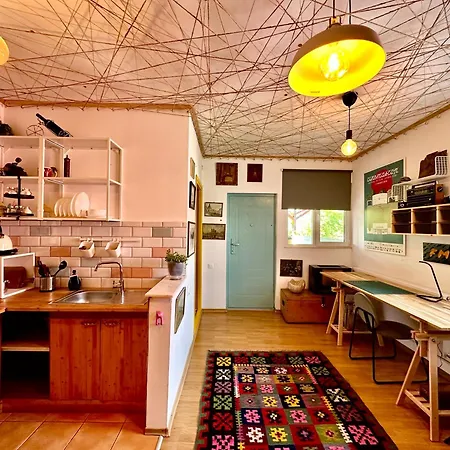 Pensiune Casa Cu Smochin | House With The Fig