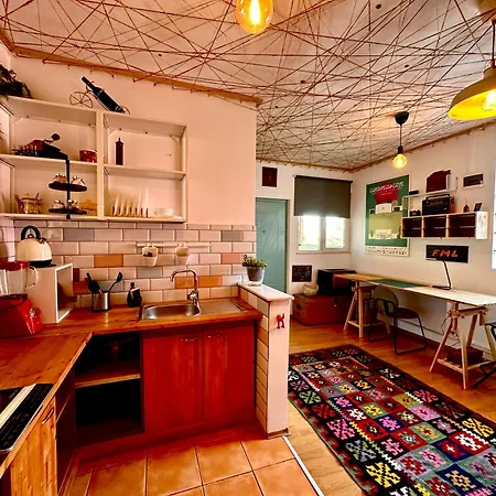 Pensiune Casa Cu Smochin | House With The Fig *